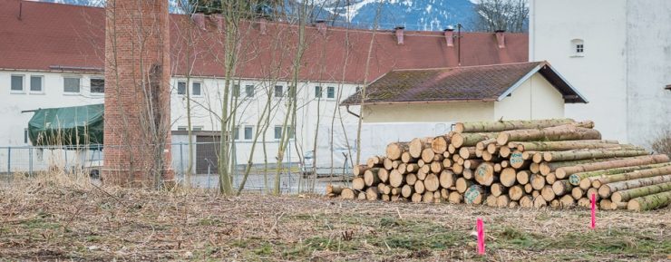 Die Baumstämme auf dem Jodbadgelände sorgten in Bad Wiessee jüngst für Unmut 