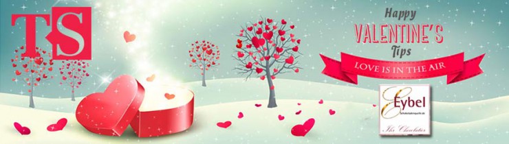Eybel_Valentin_880x250
