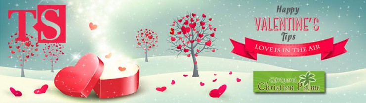 Palme_Valentin_880x250