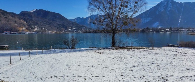 Auf dieser Wiese entsteht das geplante Einfamilienhaus.