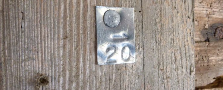 Über 3.000 Hölzer wurden nummeriert