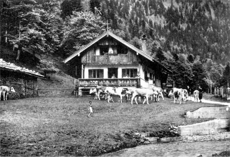 schwaigeralm_-9