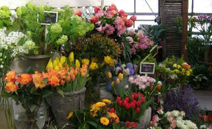 Ein Florist muss Leidenschaft für Blumen mitbringen
