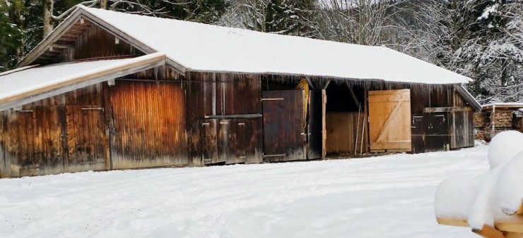 Dieser Holzschuppen soll laut dem Willen Haslbergers großzügigen Stallungen weichen.
